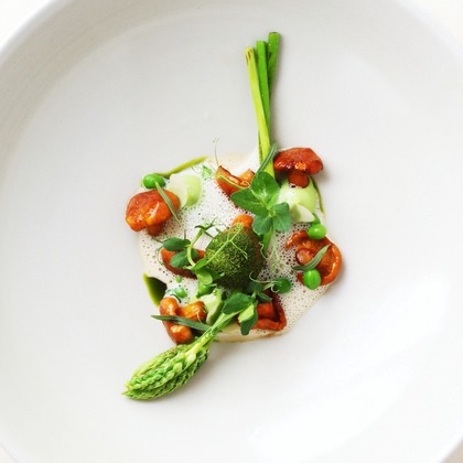 森安　照が撮影したウェディングや家族、ビジネスの写真