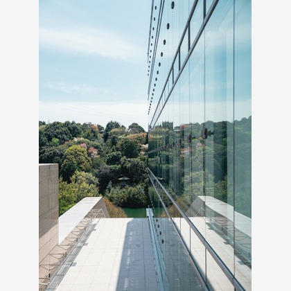 森本海斗が撮影した「:albumName」の写真