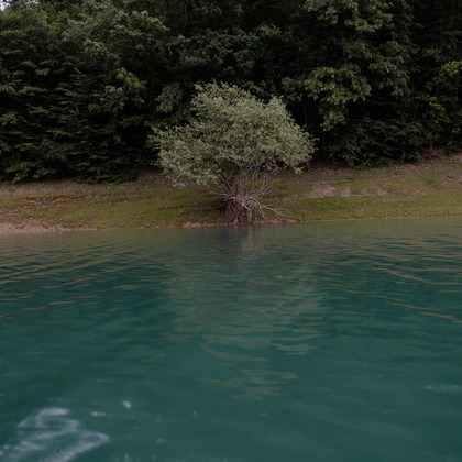 Mariela が撮影した「:albumName」の写真