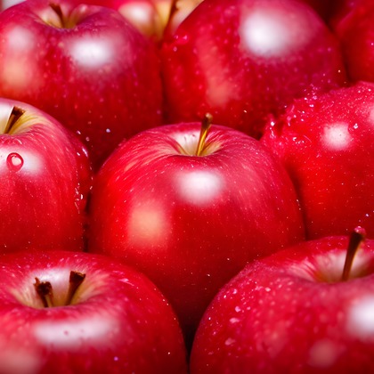 CREATIVE HOUSEが撮影した「:albumName」の写真