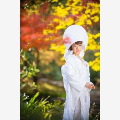 ピュアアーティス(小島 靖雄)が撮影した「:albumName」の写真