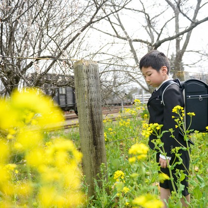 アラタンホヤガが撮影した「:albumName」の写真