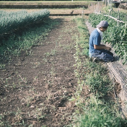 橋本　直樹が撮影した「:albumName」の写真