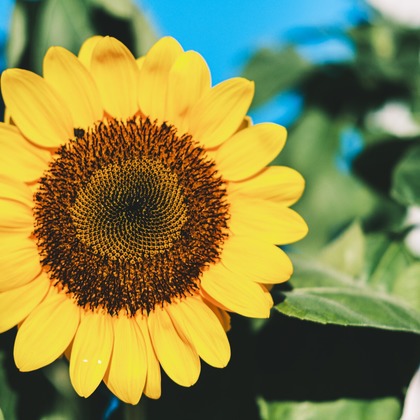 堀内 陽希が撮影したイベント/スナップ撮影の写真