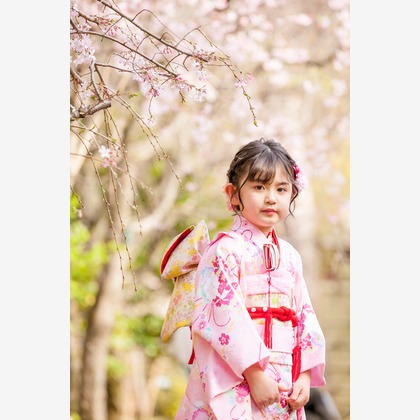 スタジオミルクが撮影した「:albumName」の写真