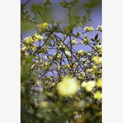 内山慎也が撮影した商品/物撮りの写真