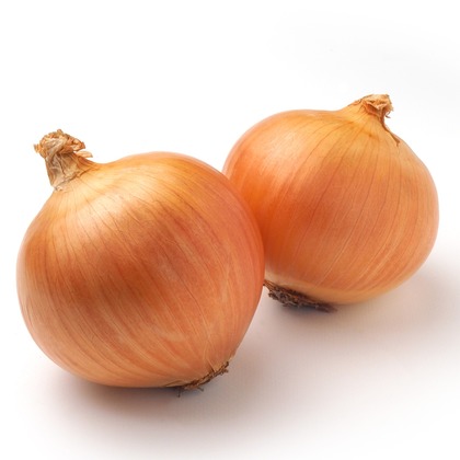 CREATIVE HOUSEが撮影した店舗/オフィス/サロン撮影/料理撮影/商品/物撮り/動画撮影の写真