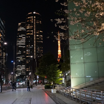 永田 光起が撮影した「:albumName」の写真