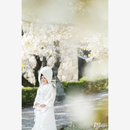 山口　竜が撮影した前撮り/後撮り出張撮影の写真