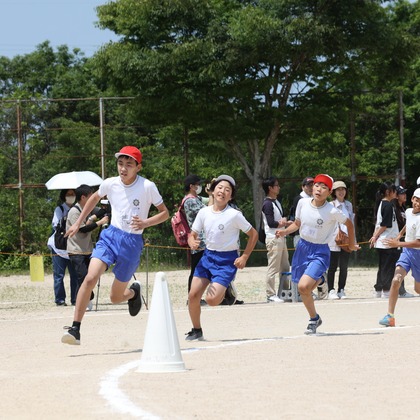 HARAデザインが撮影したウェディングや家族、ビジネスの写真