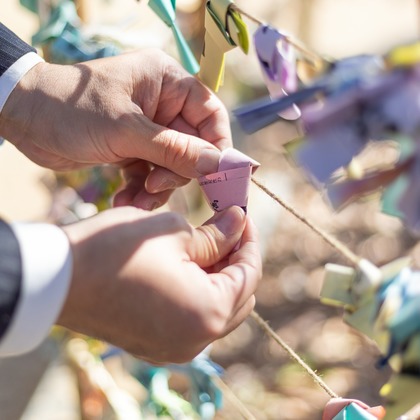 plus oneが撮影した「:albumName」の写真