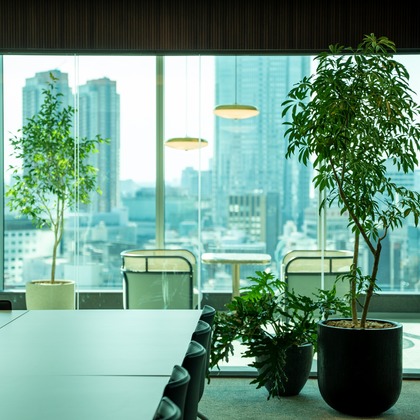 sutto imageが撮影した「:albumName」の写真