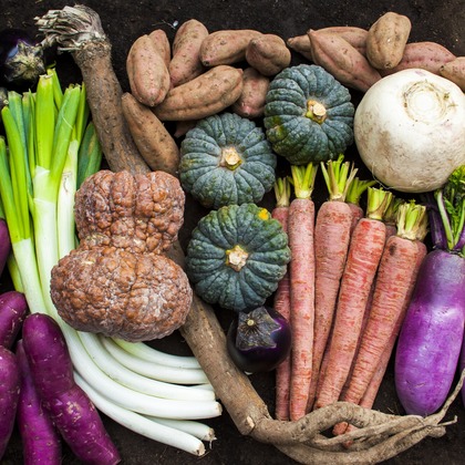 有光こうじ写真事務所が撮影した「:albumName」の写真