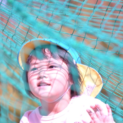 ko1low photographが撮影した「:albumName」の写真