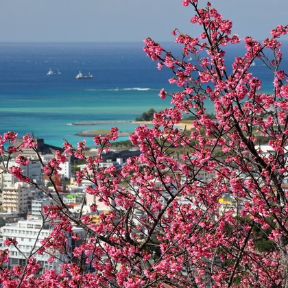 溝口崇が撮影した「:albumName」の写真