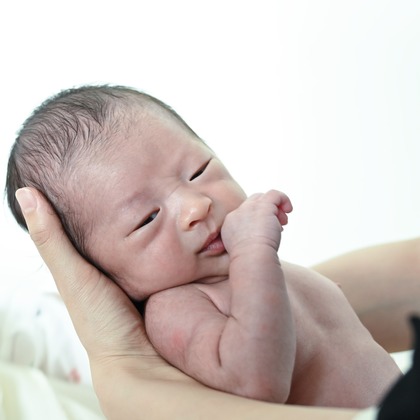 寫樂斎が撮影した「:albumName」の写真