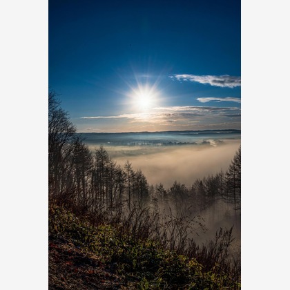 高木勇斗が撮影した「:albumName」の写真