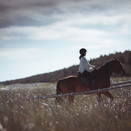 Jacek Cichopekが撮影した「:albumName」の写真