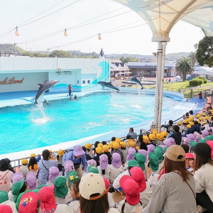 大橋　道裕が撮影した「:albumName」の写真