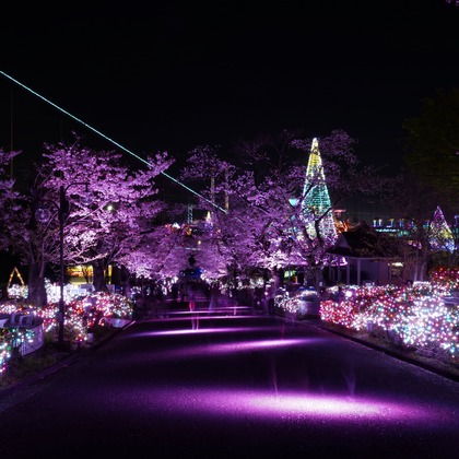 鈴木賢志が撮影した旅行先の記念撮影の写真