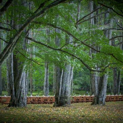 Wedding Day Photography Photos taken by APITS art photography