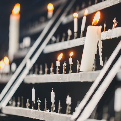 t_picturesが撮影した「:albumName」の写真