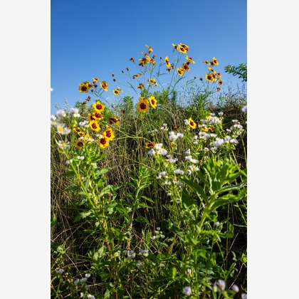 内山慎也が撮影した商品/物撮りの写真
