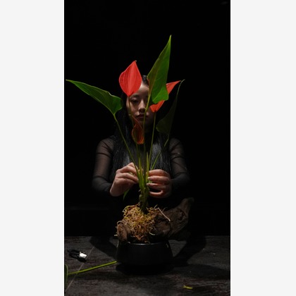 UKPHOTOが撮影した商品/物撮り/人物撮影の写真