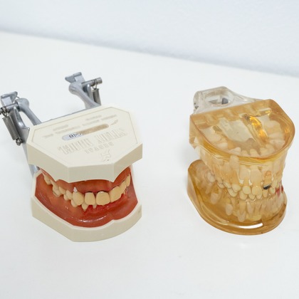 オフィス 芦野が撮影した「:albumName」の写真