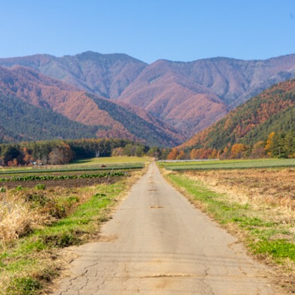 手塚隆弘が撮影したイベント/スナップ撮影の写真