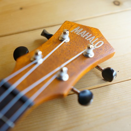 出張撮影のメモリーズが撮影した「:albumName」の写真