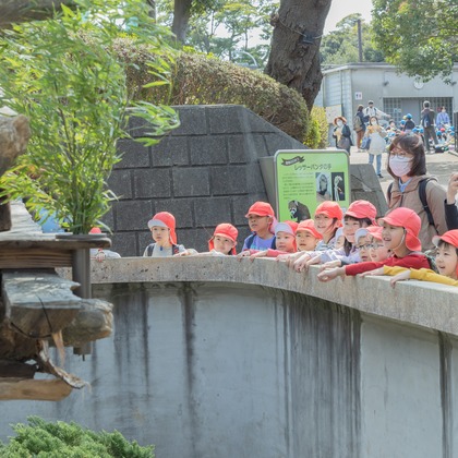 勝俣遥子が撮影したイベント/スナップ撮影の写真