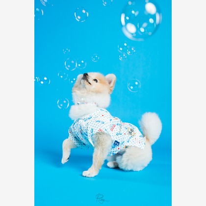 Ray Yamaguchiが撮影した「:albumName」の写真