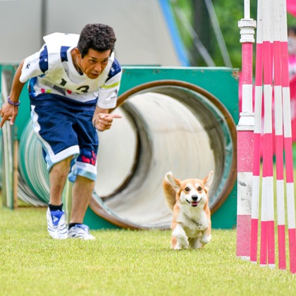 スタジオファンタスが撮影した「:albumName」の写真