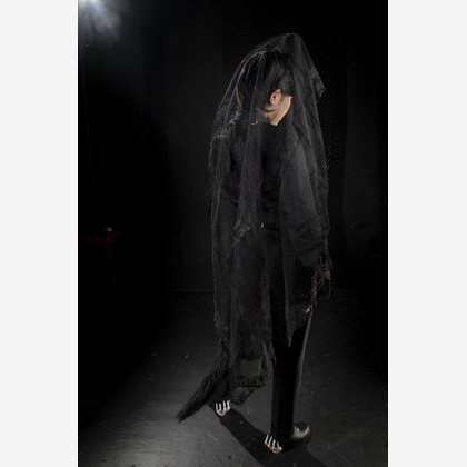 ならもとかずやが撮影した「:albumName」の写真