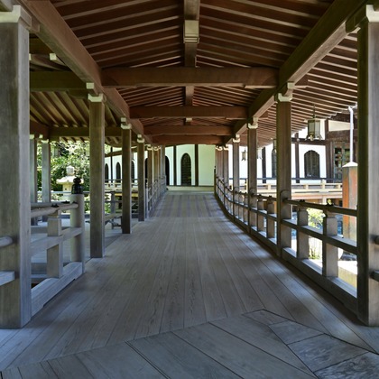 あまかど スタジオが撮影したその他の写真