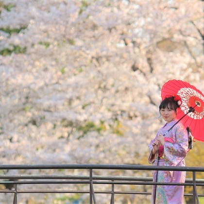 Photographer  Tomoが撮影したウェディングや家族、ビジネスの写真