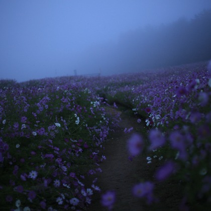 写真屋gonree　阿波根里恵が撮影した旅行先の記念撮影の写真