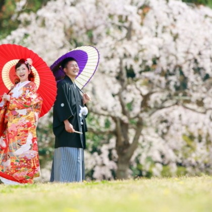 ピュアアーティス(小島 靖雄)が撮影した「:albumName」の写真