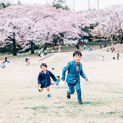ゆのみふぉとが出張撮影した自然の中の人々, 手をつないで, 友情などが写った「桜とお写真」の家族写真