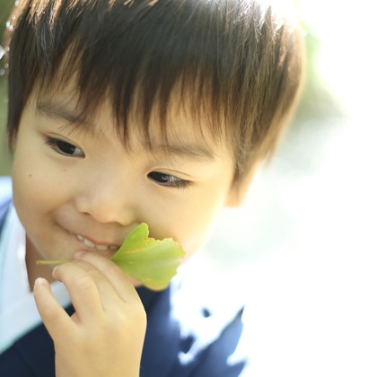 出張撮影HUG TIMEが撮影した「七五三記念撮影＠鎌倉鶴岡八幡宮」の写真