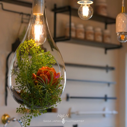 2525linkが撮影した「:albumName」の写真