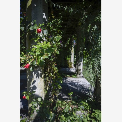 Lucky Sliver Sixpenceが撮影した「プラン名：Romantic Park(ロケーション参考写真）」の写真