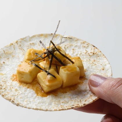 北野隼人が撮影した「:albumName」の写真