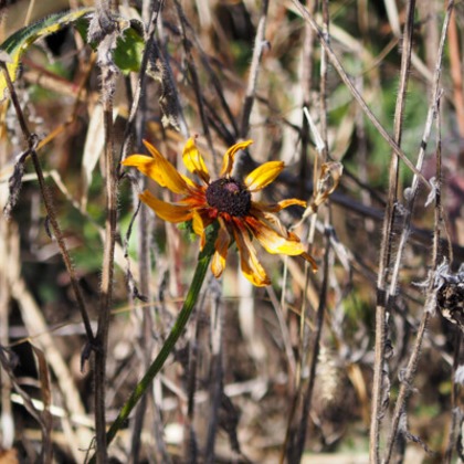 手塚隆弘が撮影したイベント/スナップ撮影の写真
