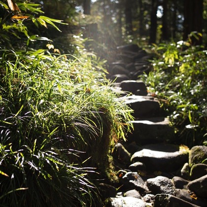舘　典志が撮影したその他/イベント/スナップ撮影の写真