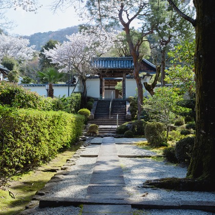 kiharu&photoが撮影した「:albumName」の写真