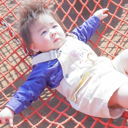 尾田惇吾が撮影した「:albumName」の写真