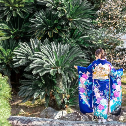 尾崎光が撮影した「:albumName」の写真