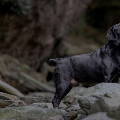 梅田　紫邑が撮影したその他の写真